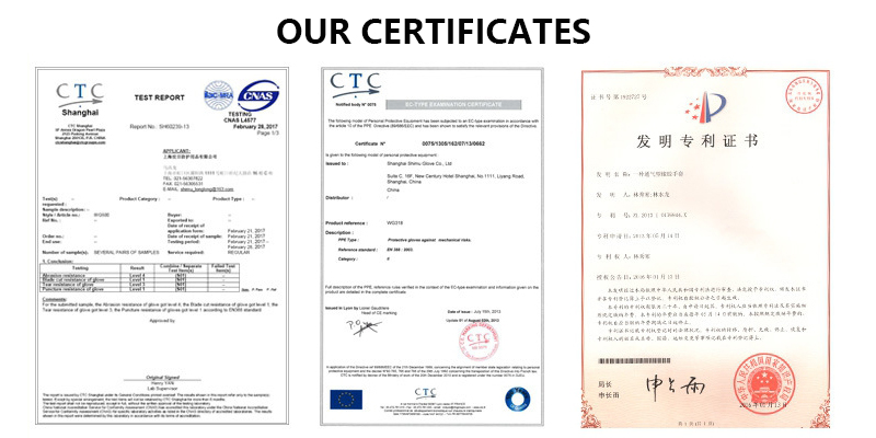 certificate.jpg